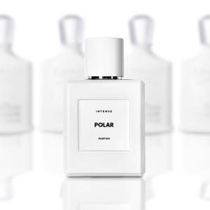 폴라 50ml 퍼퓸 인텐스 니치향수 047 POLAR (실버 마운틴 워터... 솔직 후기 | 피부 타입별 분석 - 상품 이미지 3
