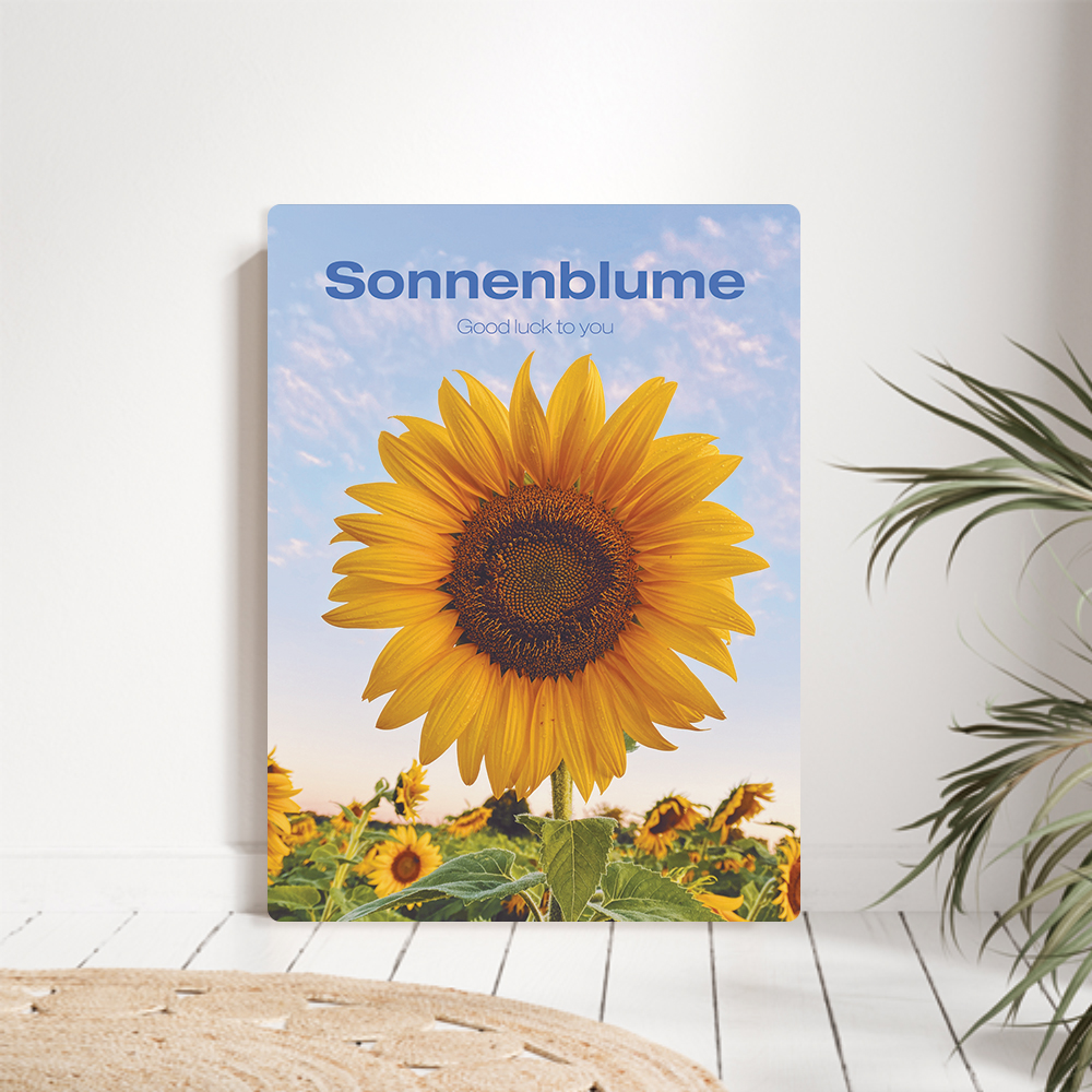 오홀리브 접이식 액자테이블 해바라기 9가지 소(60x40) 썬플라워 27cm다리