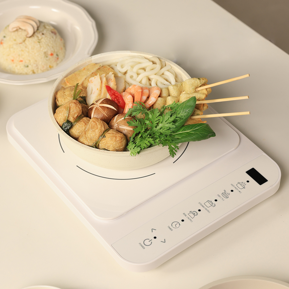 가이타이너 슬림 1구 인덕션 NGTIDW 휴대용 미니 전기레인지