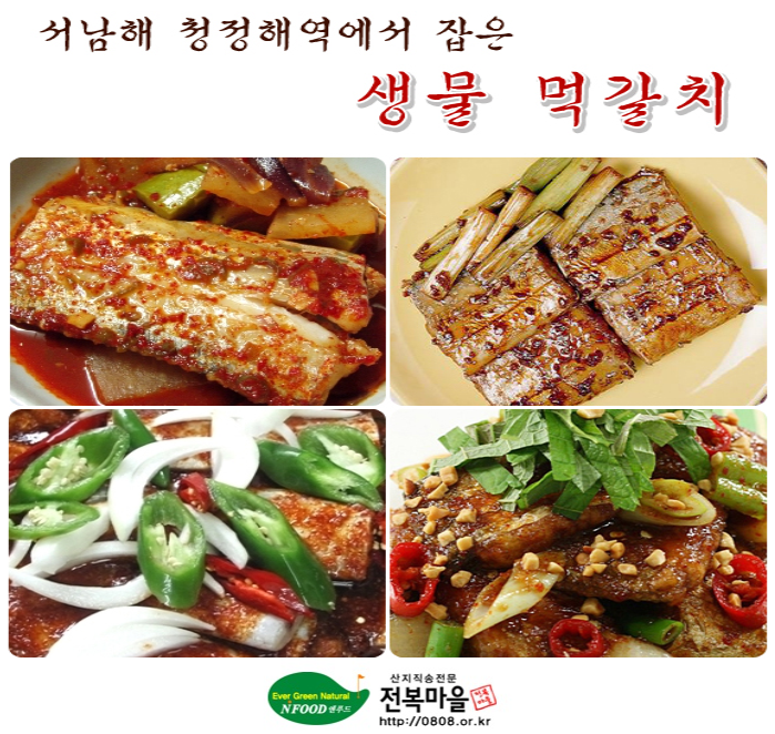 생물 목포먹갈치 20-25마리 풀치 김장용갈치 소갈치 - 상세 이미지 3