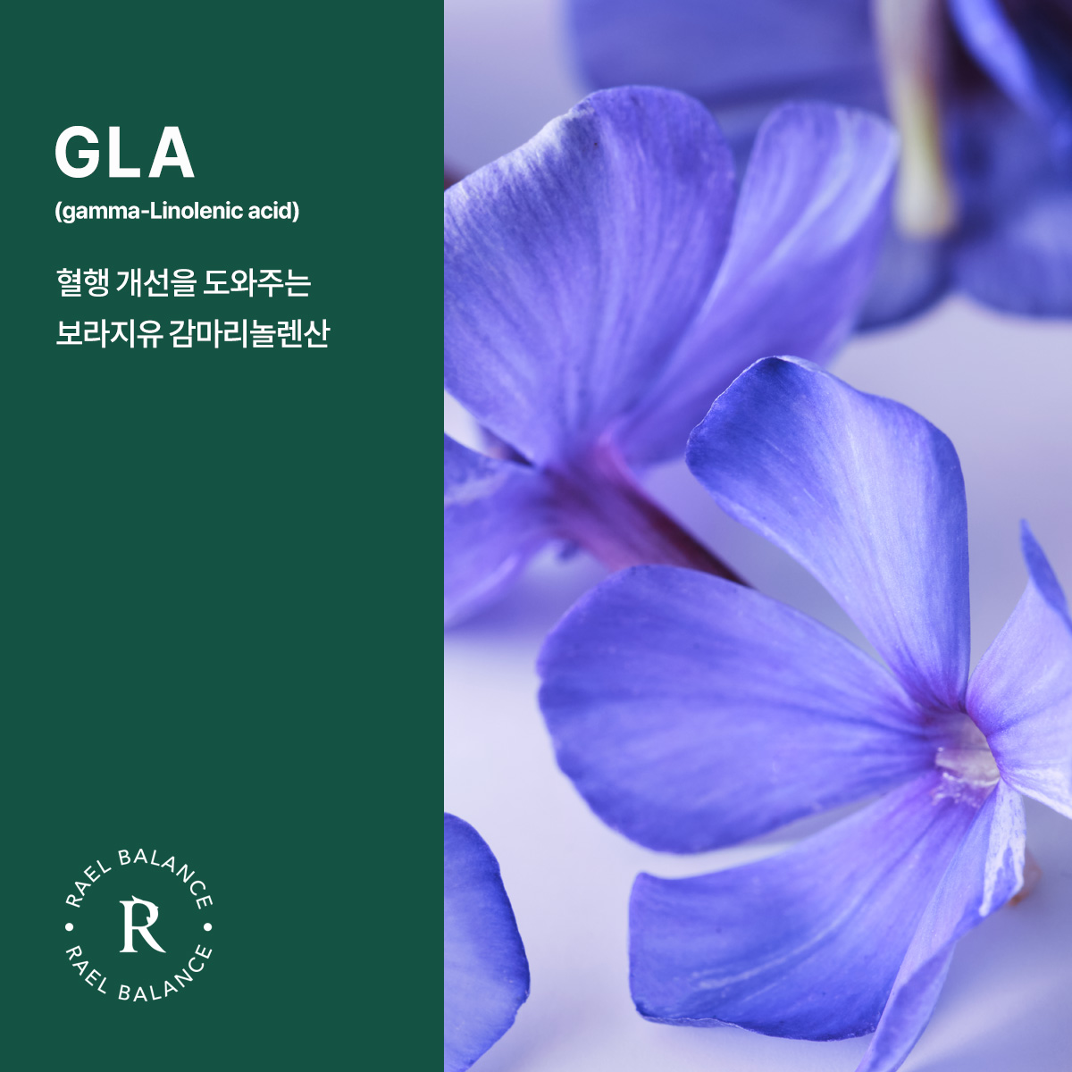 라엘 밸런스 월경케어 보라지유 건강기능식품 60캡슐, 3개 - 상세 이미지 5