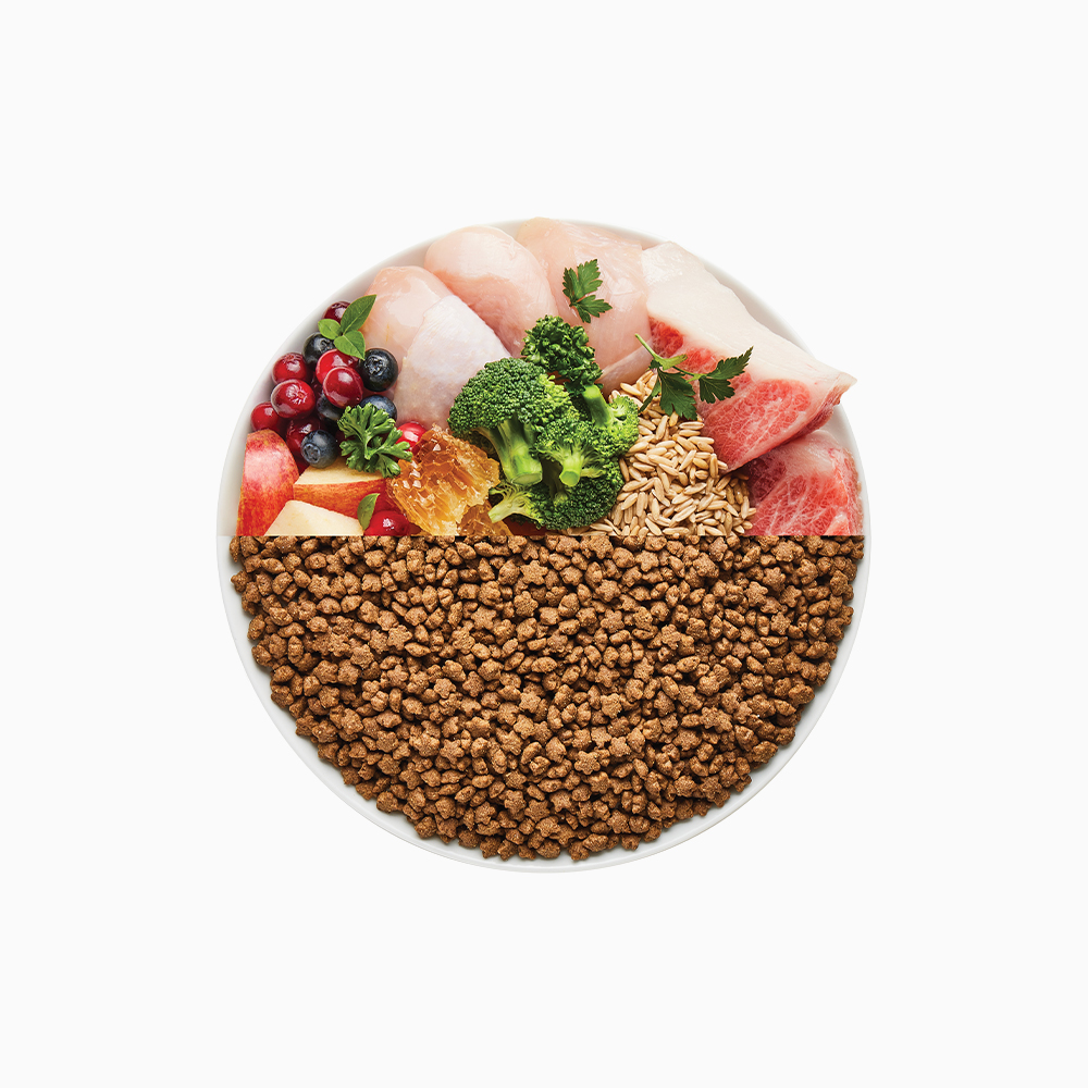 캐츠랑 생생닭고기 1.8kg + 쉨잇 캣 50g