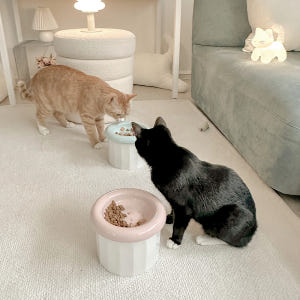 보울보울 고양이 밥그릇 강아지 물그릇 헬로 도넛볼 7cm 세트 솔직 후기 | 실제 사용자 리뷰 총정리 - 상품 이미지 2