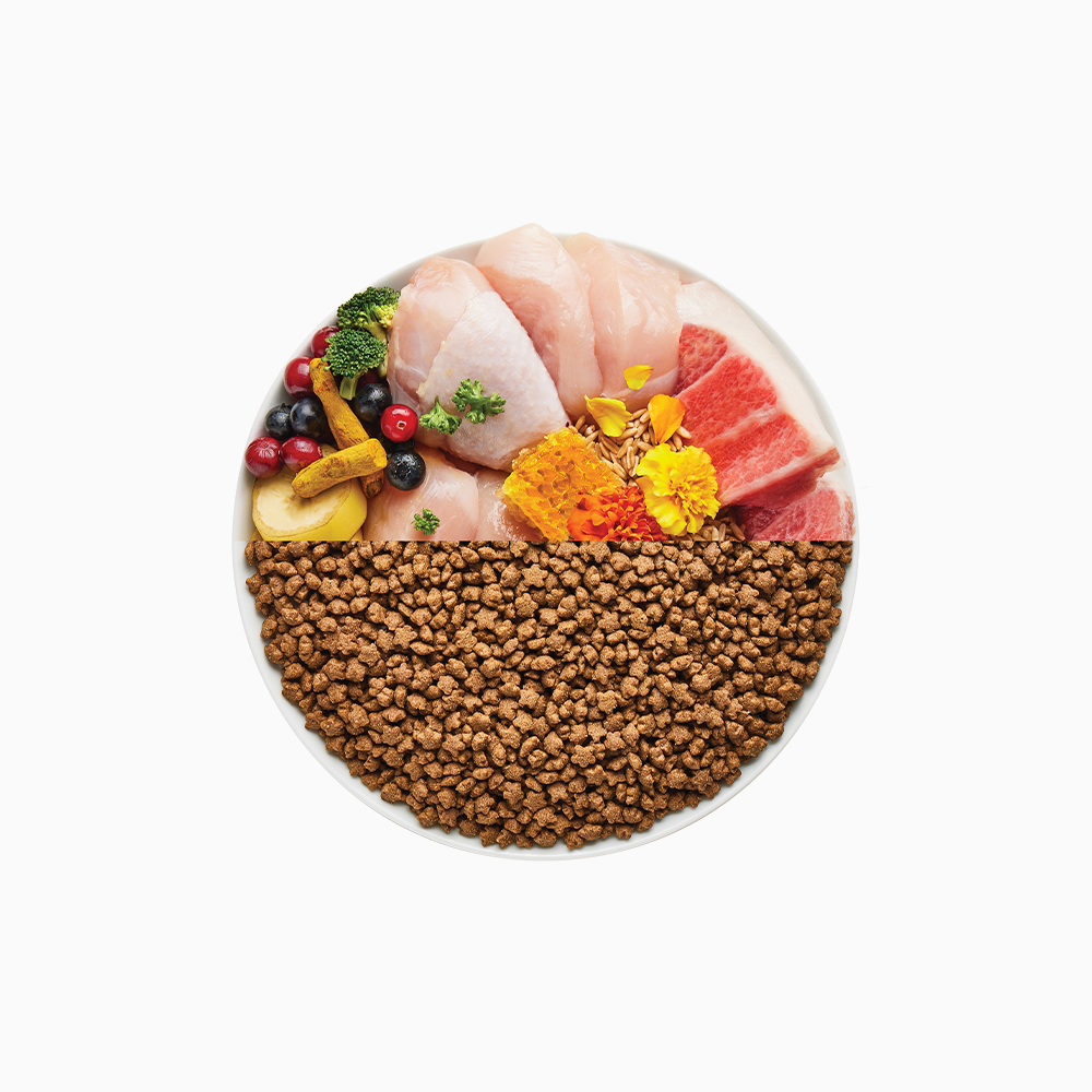 캐츠랑 생생닭고기 1.8kg + 쉨잇 캣 50g