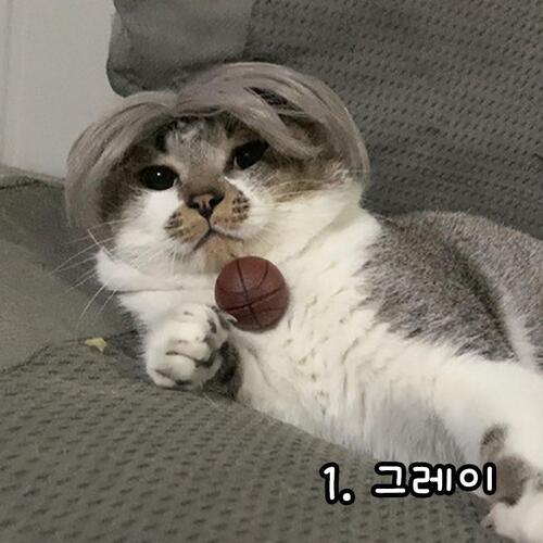 다묘집사 고양이 모자 가발 - 상세 이미지 2