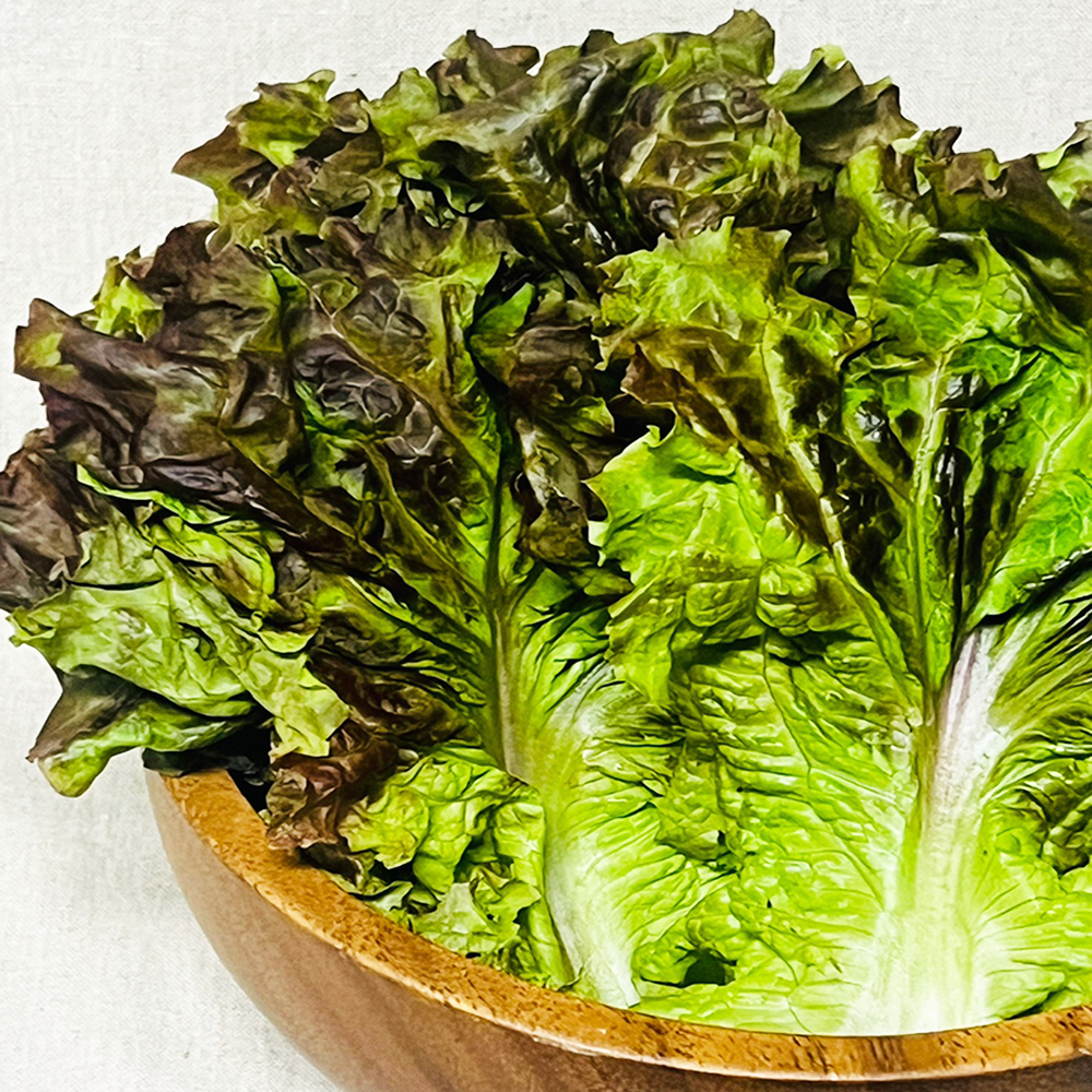 [관악구 배달] 쌈추 쌈채소 꽃상추 100g [신원 정림마트] : 동네시장 장보기