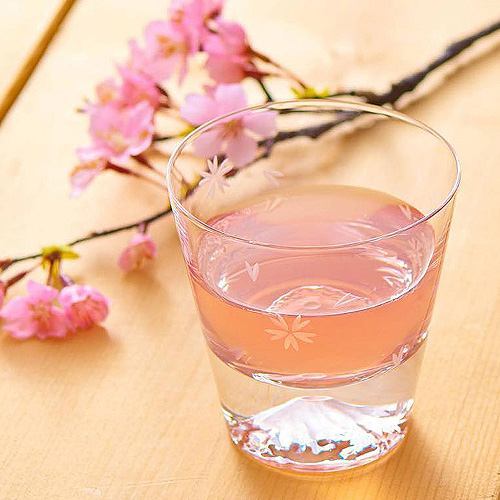[타지마글라스 코리아] 일본 후지산 사쿠라키리코 위스키 사케잔 칵테일 하이볼 170ml