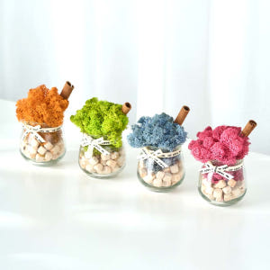 스칸디아모스 화분 천연 이끼 공기정화 음지 식물 승진 개업 선물 4p세트 실사용 후기 | 효과 있을까? - 상품 이미지 3