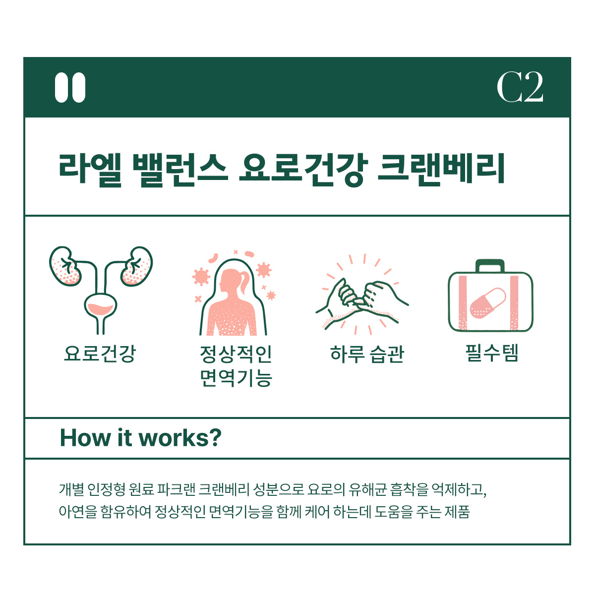 라엘 밸런스 요로건강 크랜베리 건강기능식품 60캡슐, 3개 이미지 3