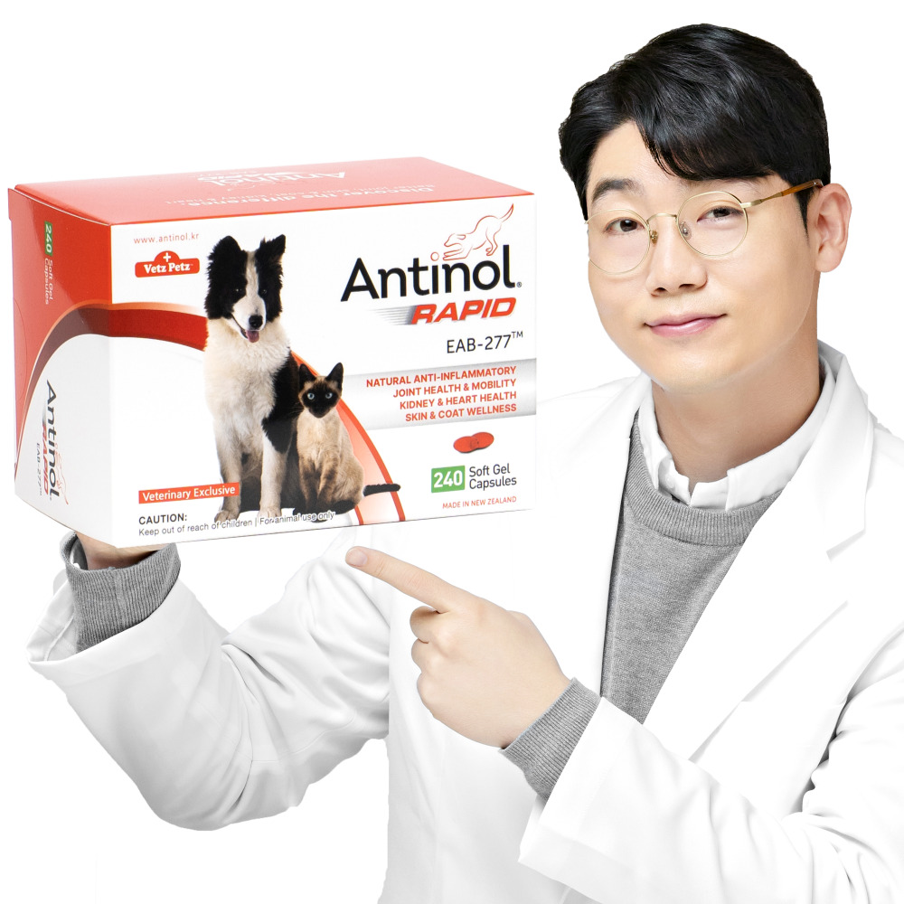 안티놀 래피드 240캡슐 강아지 고양이 관절 슬개골 영양제