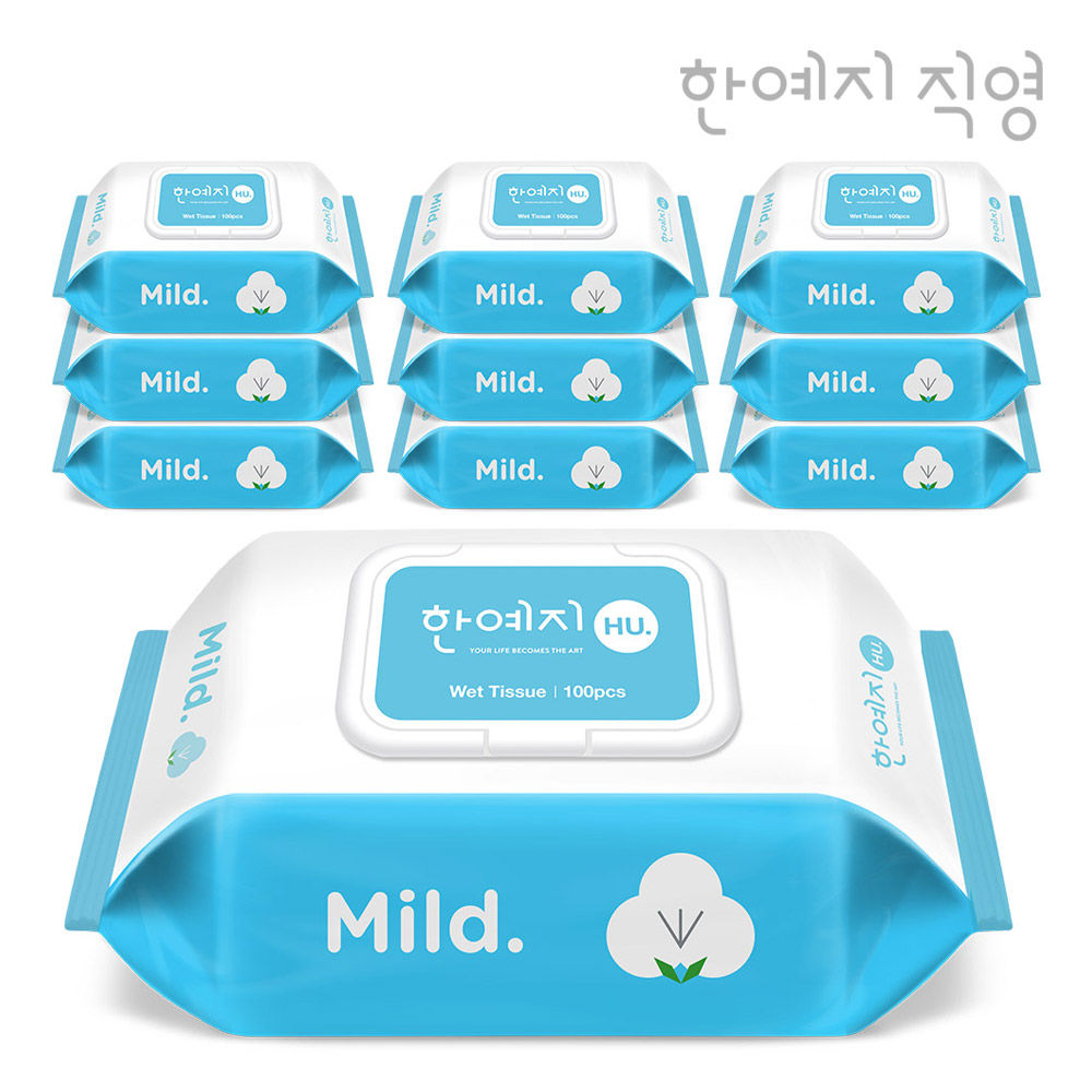 한예지 휴 마일드 물티슈 캡형 100매, 10개