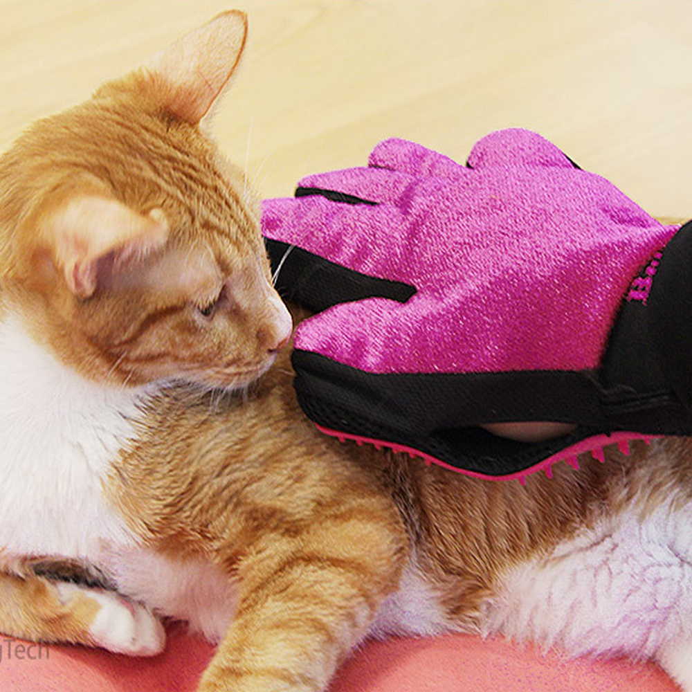 바비온 강아지 고양이 빗 털제거 브러쉬 장갑 V2