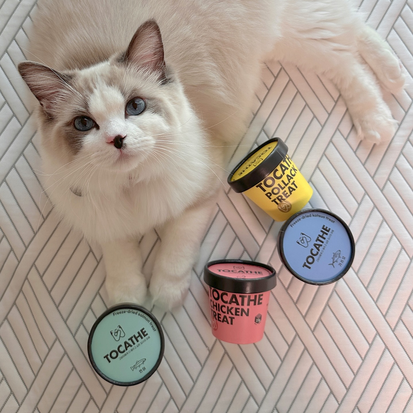 내꼬냥 고양이 동결건조 연어 미니 트릿 큐브형