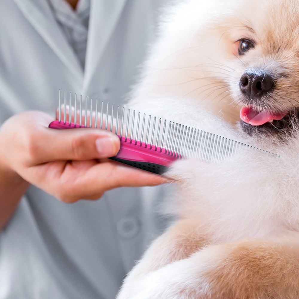 바비온 강아지 고양이 빗 브러쉬 듀얼콤 086R