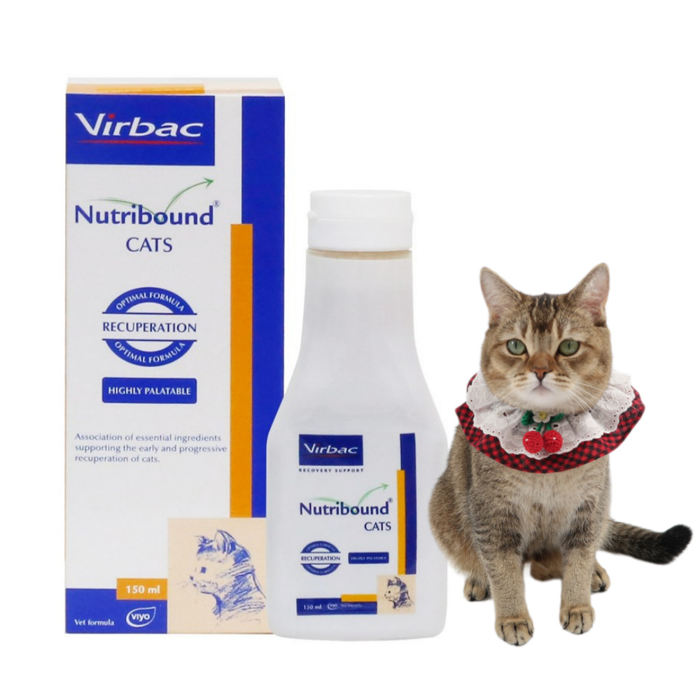 버박 뉴트리바운드 캣 150ml 고양이 종합영양제 - 상품 이미지