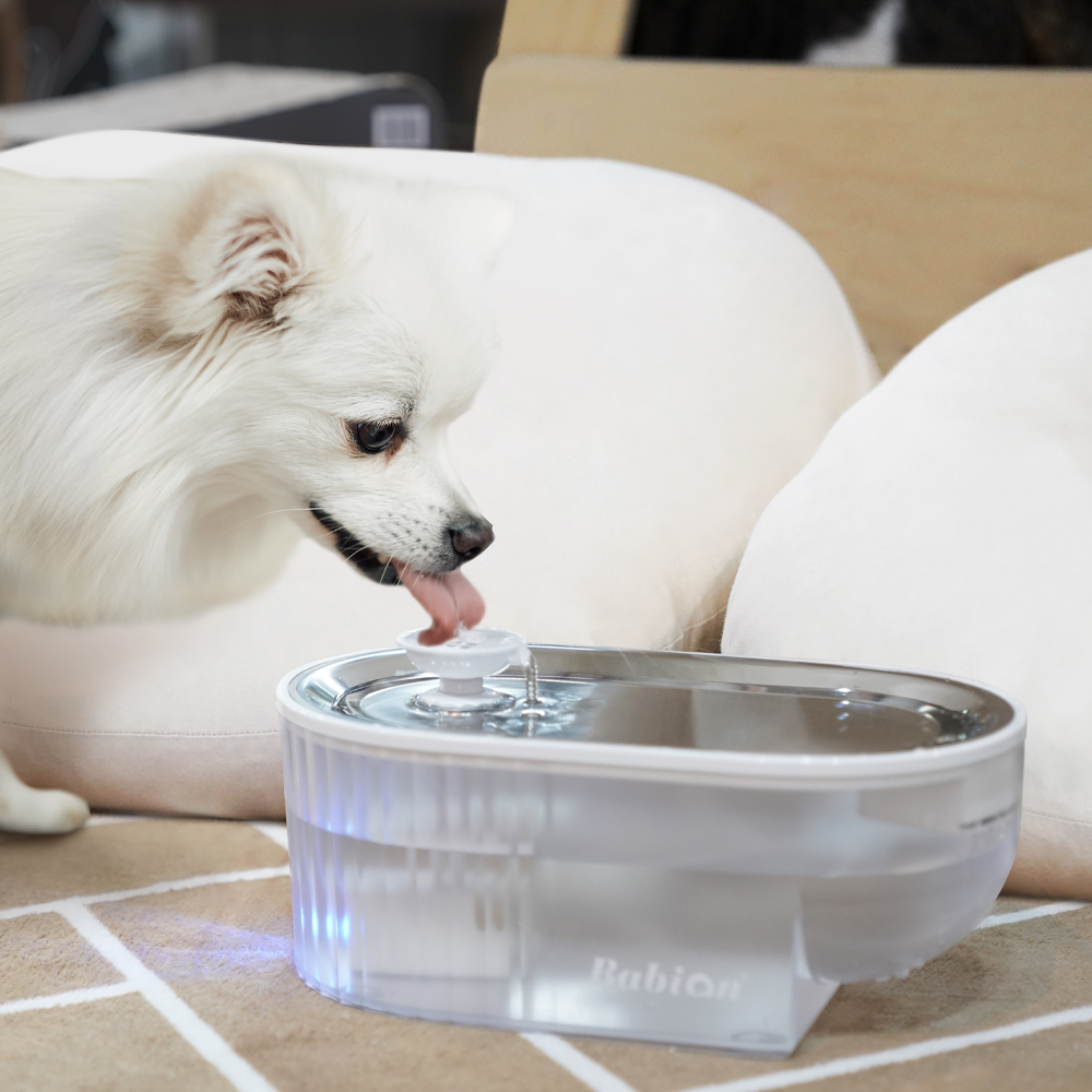 바비온 강아지 고양이 저소음 정수기 친환경 스테인레스 급수기 수반 물그릇 RWF-C3