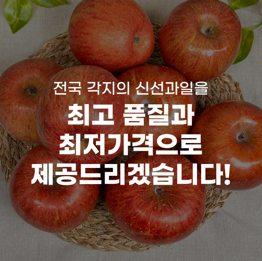 못난이 문경사과 5kg 엔부 부사사과 피치애플 보조개 청송사과 10kg 10키로 이미지 4