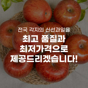 못난이 문경사과 5kg 엔부 부사사과 피치애플 보조개 청송사과 10kg ... 맛있게 먹은 솔직 후기 - 상품 이미지 4
