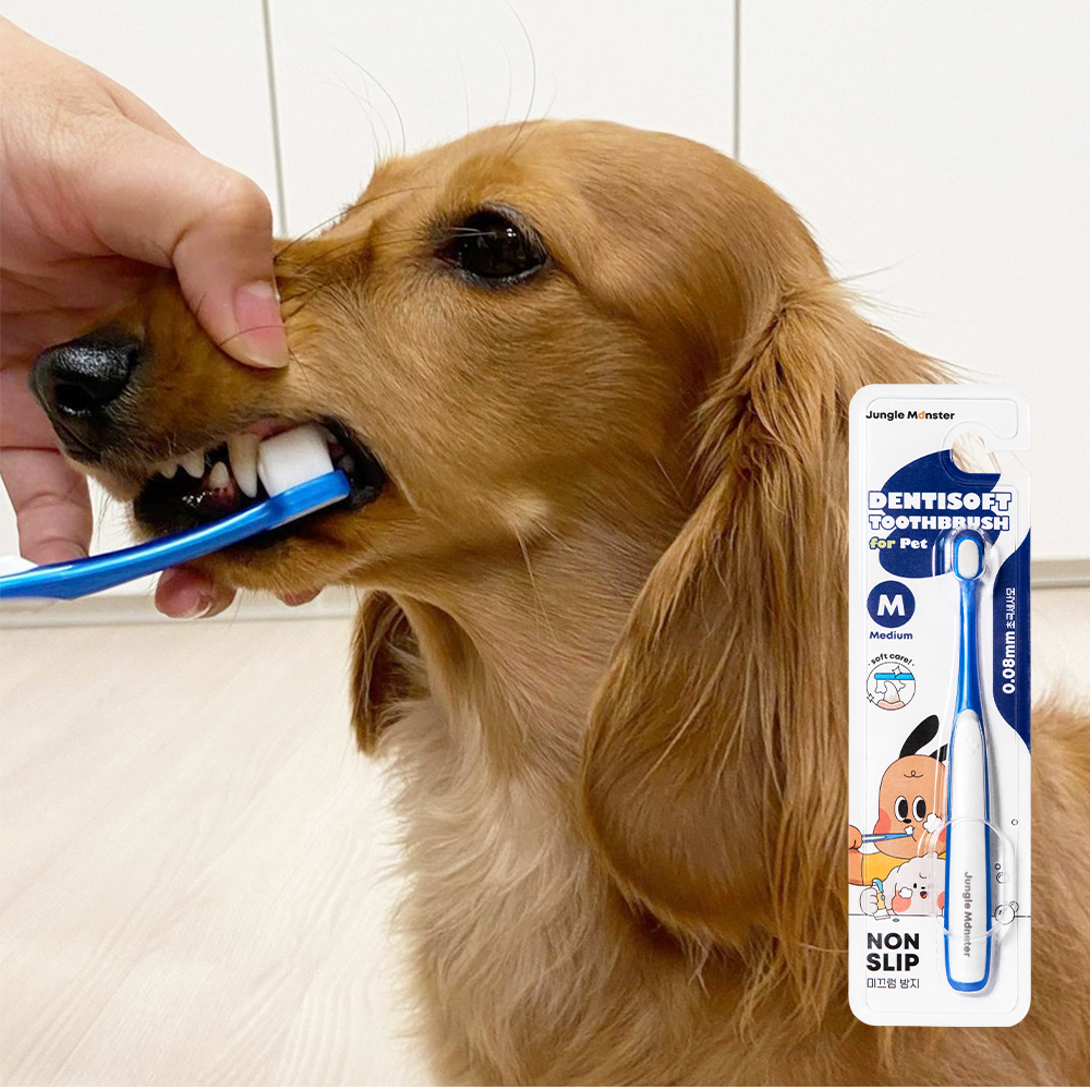 정글몬스터 덴티소프트 M 2개입+ S 1개입