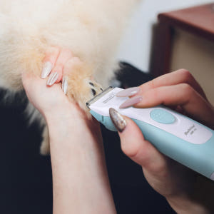 바비온 고양이 강아지 발바닥 바리깡 클리퍼 미니 방수 이발기 SBC-31 솔직 후기 | 실제 사용자 리뷰 총정리 - 상품 이미지 1