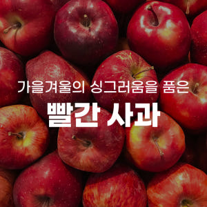 못난이 문경사과 5kg 엔부 부사사과 피치애플 보조개 청송사과 10kg ... 맛있게 먹은 솔직 후기 - 상품 이미지 2