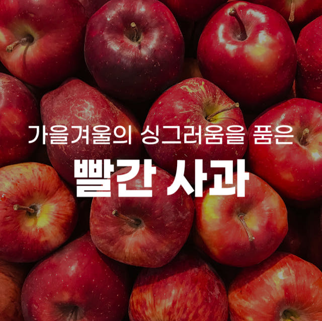 경북 꿀 청송사과 5kg 안동 부사사과 보조개 못난이 문경사과 10kg 10키로 — 같은 가격대, 왜 이 사과를 골라야 할까요?