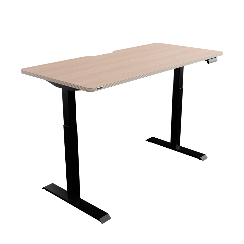 핏쳐 고강도 듀얼 스퀘어 프레임 전동식 모션 데스크 커스터마이징 E2 상판 25mm 1200