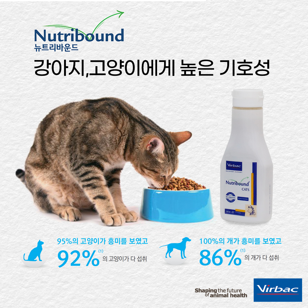 버박 뉴트리바운드 캣 150ml 고양이 종합영양제 - 상세 이미지 5