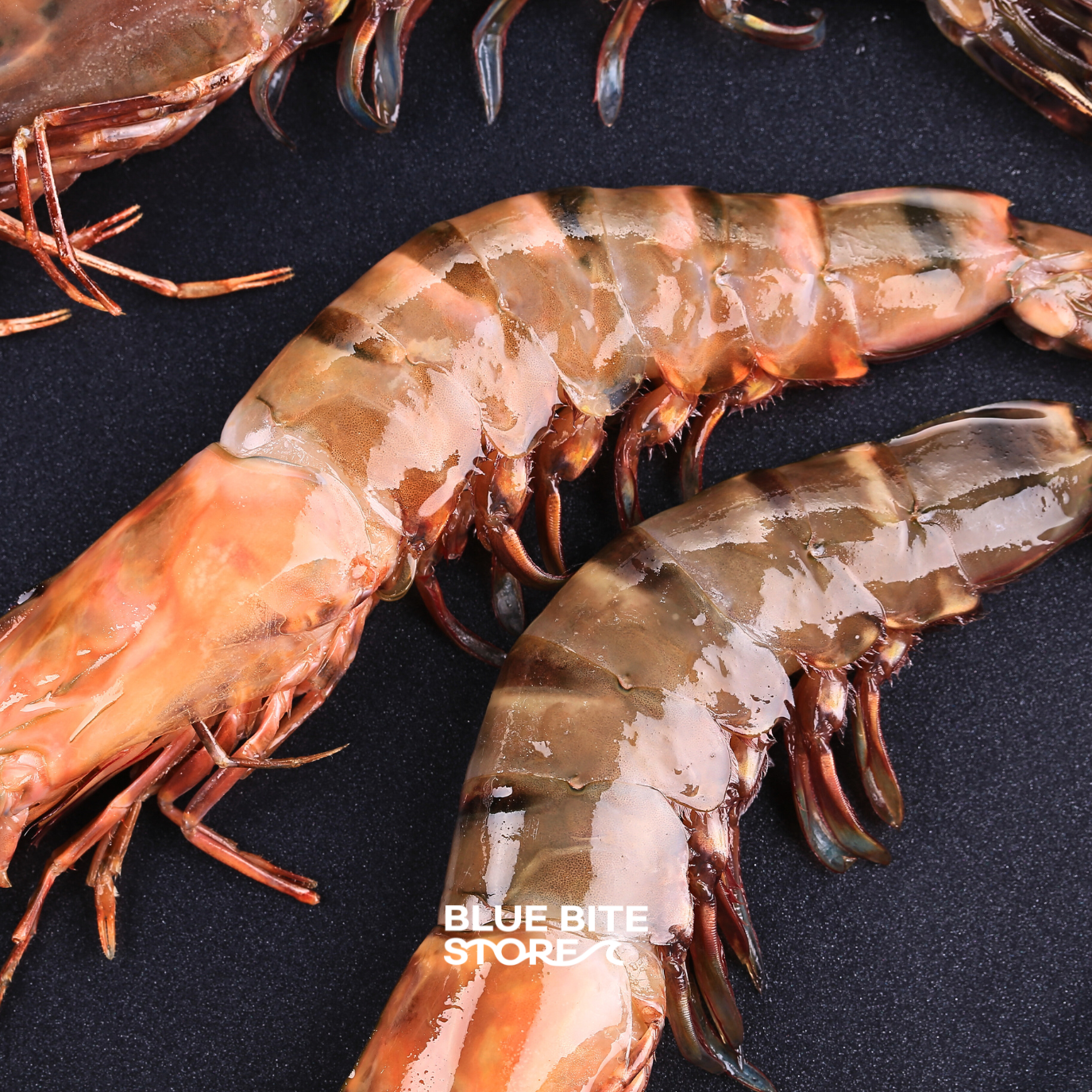 블랙타이거새우 500g 특대 냉동 - 상세 이미지 3