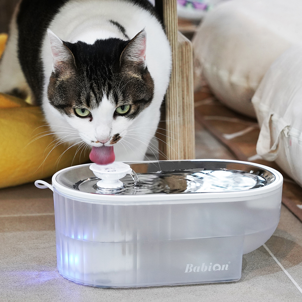 바비온 강아지 고양이 저소음 정수기 친환경 스테인레스 급수기 수반 물그릇 RWF-C3