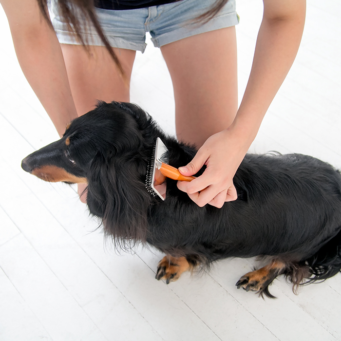 바비온 강아지 고양이 슬리커 브러쉬 빗 002R