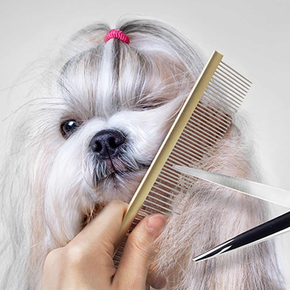 바비온 정전기 방지 애견 미용 고양이 콤 강아지 빗  BCE3363
