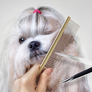바비온 정전기 방지 애견 미용 고양이 콤 강아지 빗  BCE3363 솔직 후기 | 실제 사용자 리뷰 총정리 - 상품 이미지 2