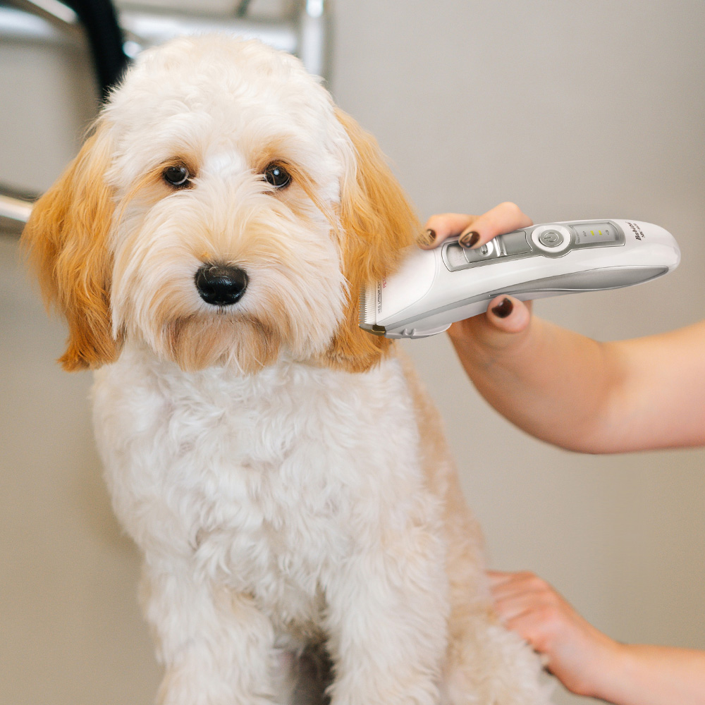 바비온 강아지 애견 고양이 이발기 바리깡 클리퍼 SBC-6630