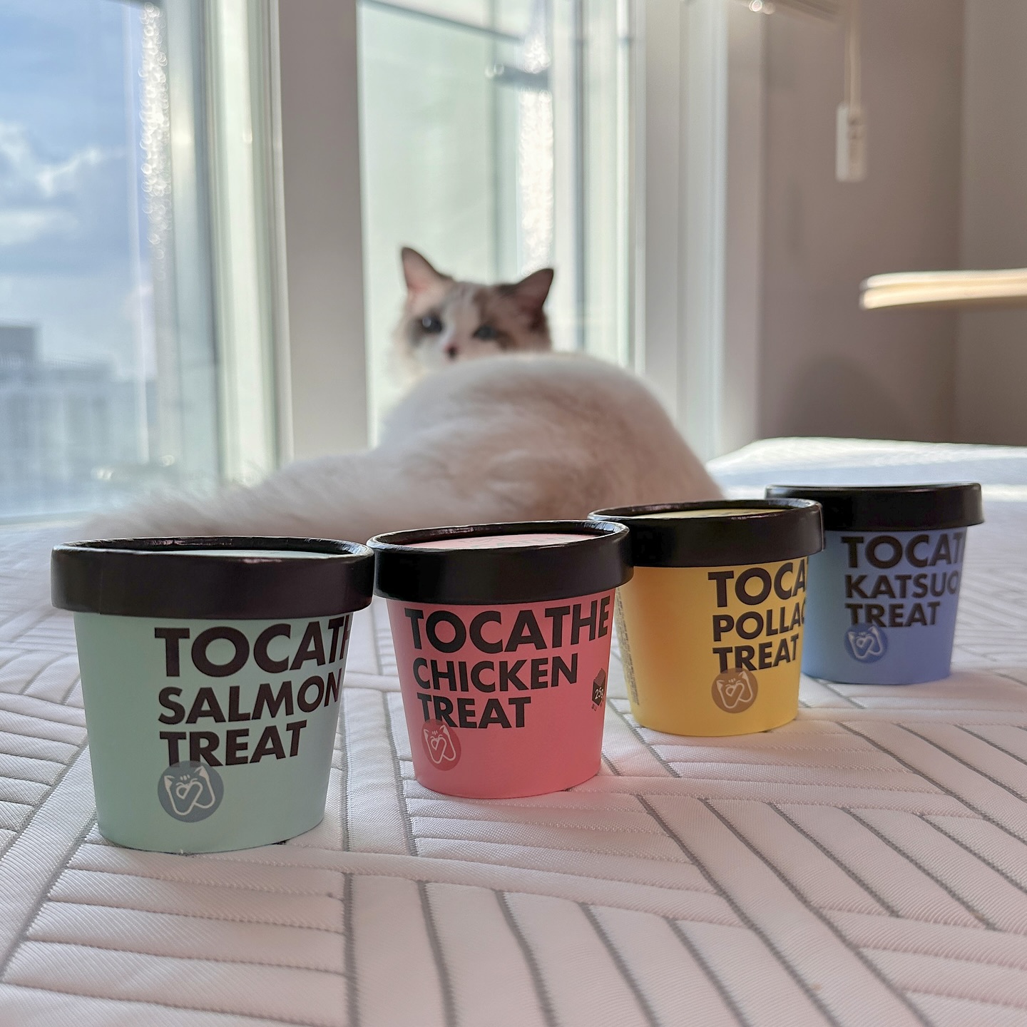 내꼬냥 고양이 동결건조 간식 북어 미니 트릿 큐브형