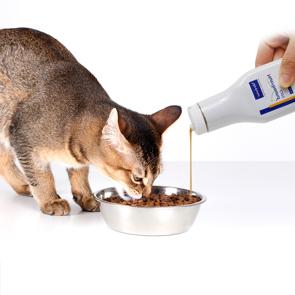 버박 뉴트리바운드 캣 150ml 고양이 종합영양제 - 상세 이미지 2