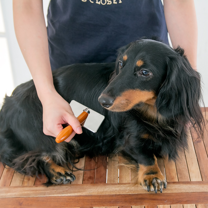 바비온 강아지 고양이 슬리커 브러쉬 빗 002R