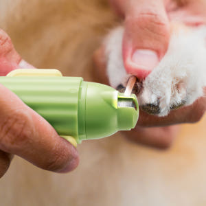 바비온 강아지 고양이 선인장 발톱 깎이 터보 전동 그라인더 발톱갈이 BG... 솔직 후기 | 실제 사용자 리뷰 총정리 - 상품 이미지 1