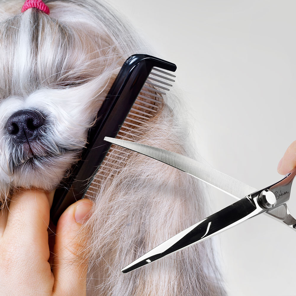 바비온 EL 강아지 애견 커브 가위 미용가위 E2-701C 17.5cm(7인치)