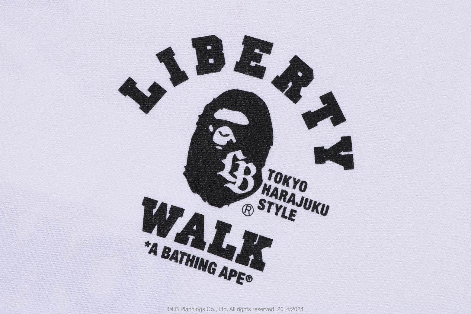 베이프 X LBWK 반팔티 FD ABC CAMO TEE 1K73-110-918 - 상세 이미지 4
