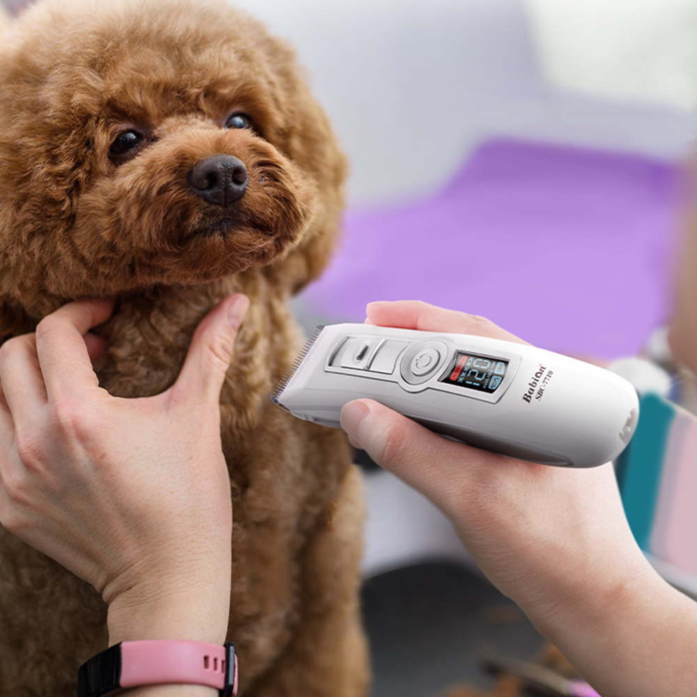 바비온 강아지 고양이 바리깡 클리퍼 SBC-7710