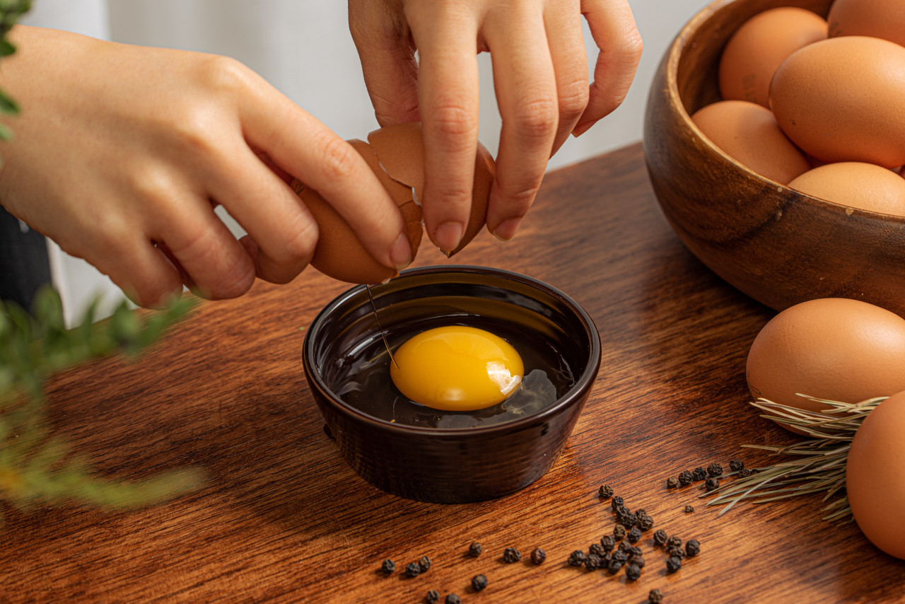[삼초계란] 삼초마을 난각번호 1번 계란 자연방사 무항생제 산란당일 신선한 유정란 40구 이미지 8