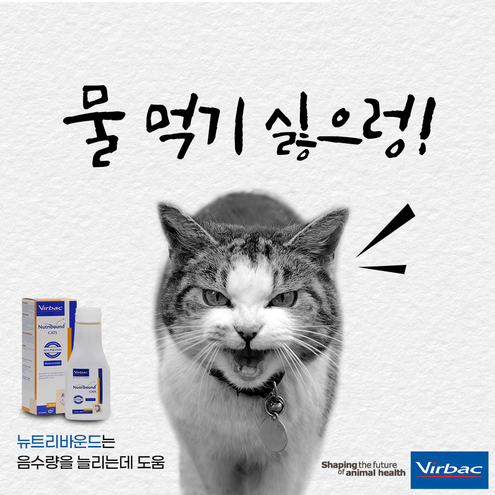 버박 뉴트리바운드 캣 150ml 고양이 종합영양제 - 상세 이미지 3
