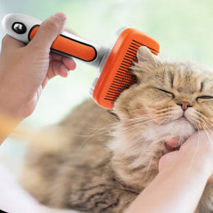 바비온 강아지 고양이 슬리커 자동 털제거 빗 쓱싹 핀 브러쉬 112ZR ... 솔직 후기 | 실제 사용자 리뷰 총정리 - 상품 이미지 2