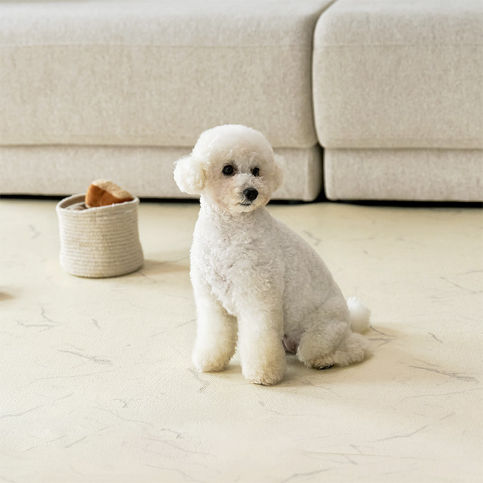 울리 강아지 미끄럼방지 복도 매트 롤형 110x220