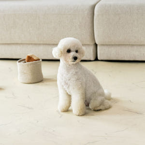 [강아지의날] 울리 강아지 미끄럼방지 복도 매트 롤형 110x220 솔직 후기 | 실제 사용자 리뷰 총정리 - 상품 이미지 3