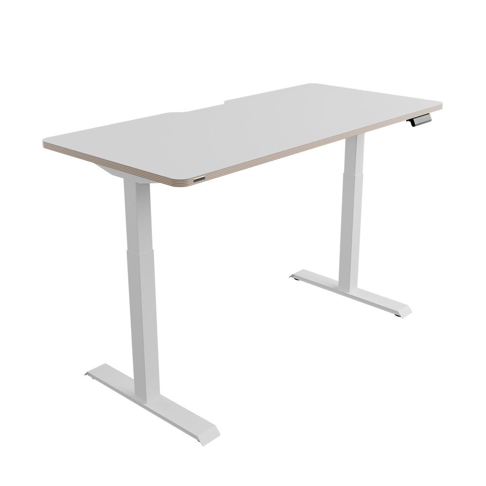 핏쳐 고강도 듀얼 스퀘어 프레임 전동식 모션 데스크 커스터마이징 E2 상판 25mm 1200