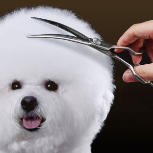 바비온 ML 강아지 애견 커브 가위 미용가위 M4-651C 16.5cm(... 솔직 후기 | 실제 사용자 리뷰 총정리 - 상품 이미지 1