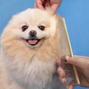 바비온 정전기 방지 애견 미용 고양이 콤 강아지 빗  BCE3363 솔직 후기 | 실제 사용자 리뷰 총정리 - 상품 이미지 1