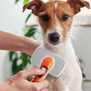 바비온 강아지 고양이 슬리커 자동 털제거 빗 쓱싹 핀 브러쉬 112ZR ... 솔직 후기 | 실제 사용자 리뷰 총정리 - 상품 이미지 1